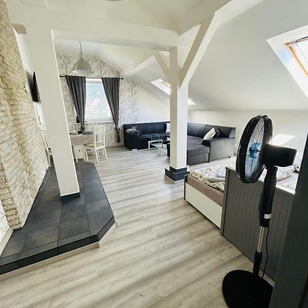 Apartman Theresa Decin Exterior photo